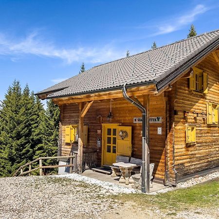 Elsenbrunn 1A Chalet Enzianhuette - Ski Fahren Und Indoor Sauna 빌라 외부 사진